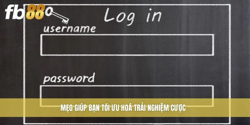 Mẹo giúp bạn tối ưu hoá trải nghiệm cược