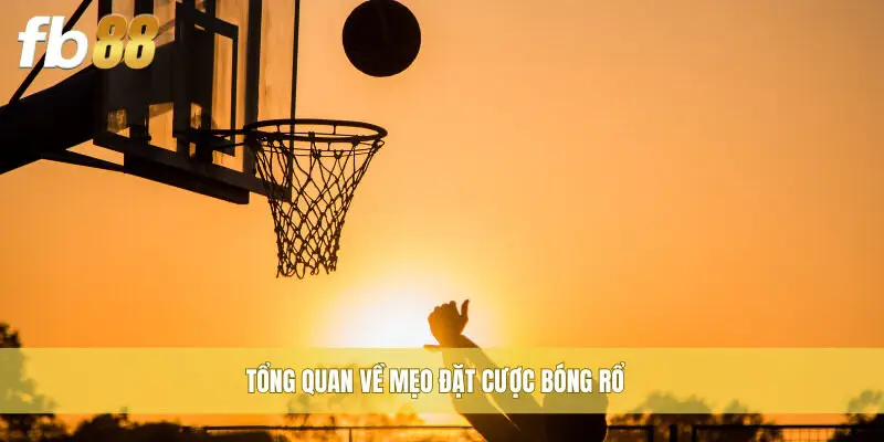 Tổng quan về mẹo đặt cược bóng rổ