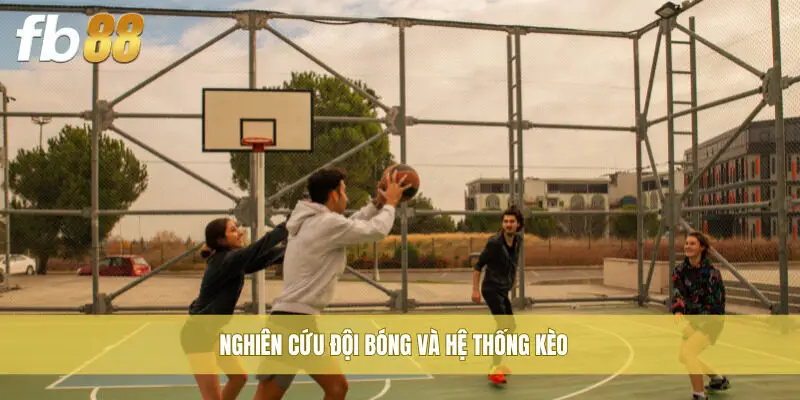 Nghiên cứu đội bóng và hệ thống kèo