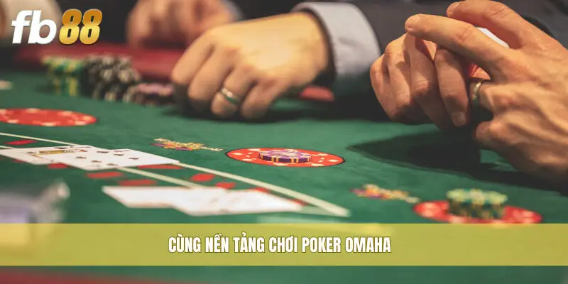 Cùng nền tảng chơi Poker Omaha